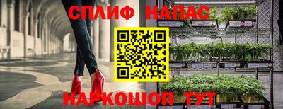 дурь Донской