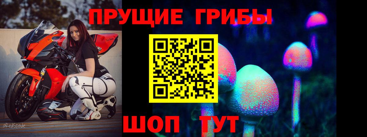 Галлюциногенные грибы Psilocybe Кропоткин